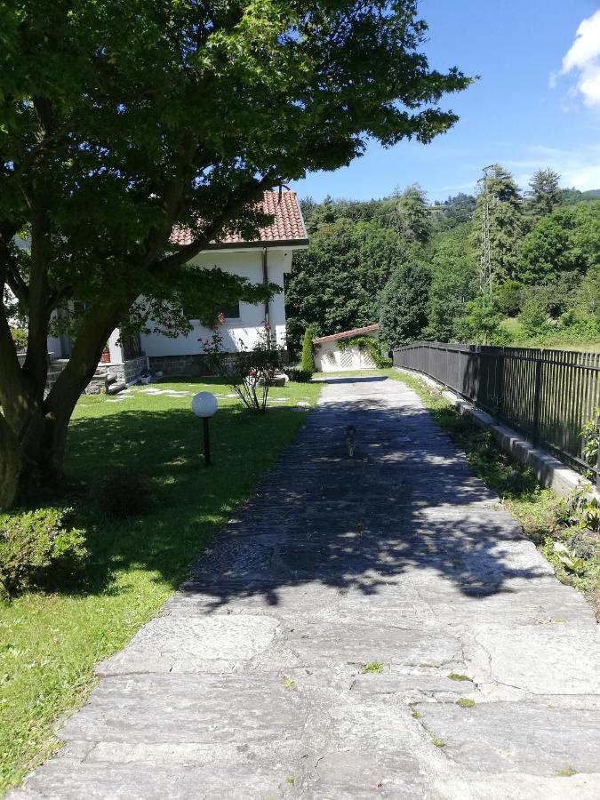 Appartamento I Tulipani Stresa