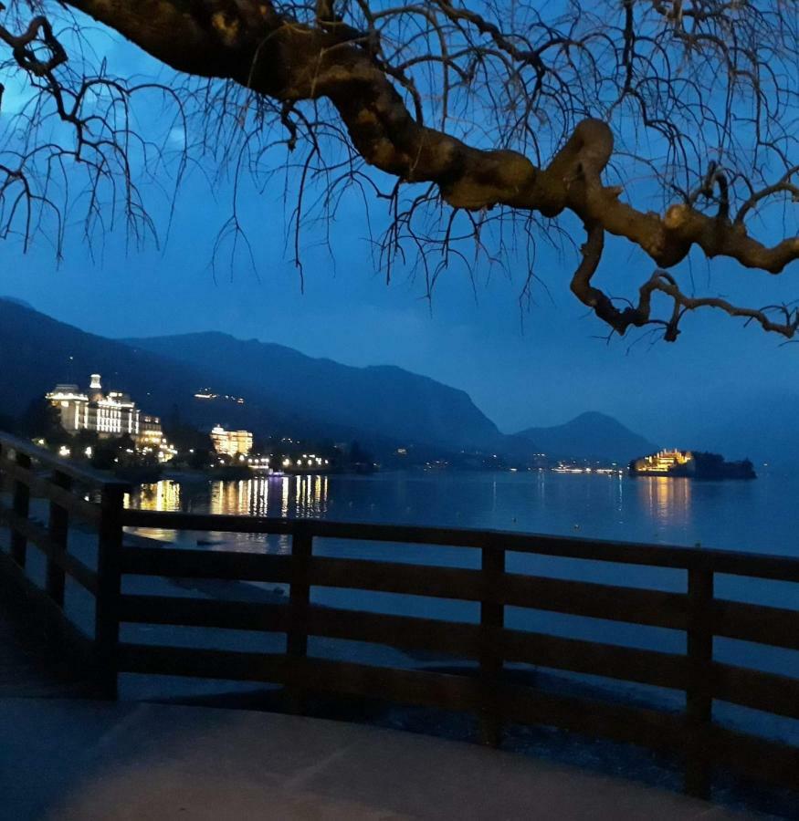 I Tulipani Stresa